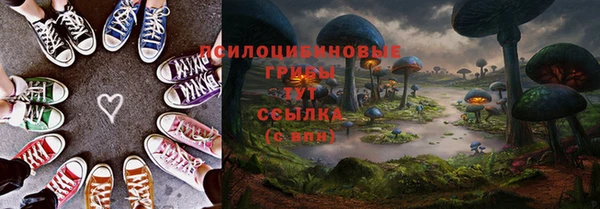 мяу мяу мука Алагир