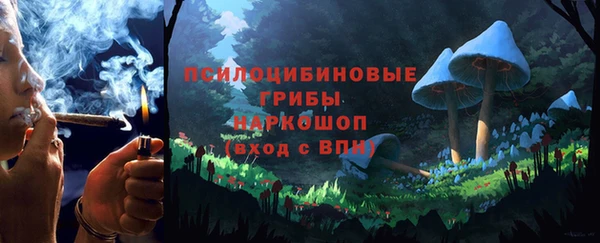 тгк Магас