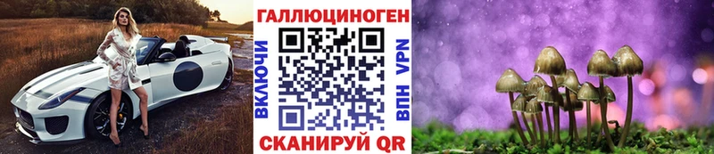 Галлюциногенные грибы мухоморы дарнет шоп Гаврилов Посад